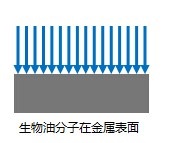 新宝gg(中国游)官方网站